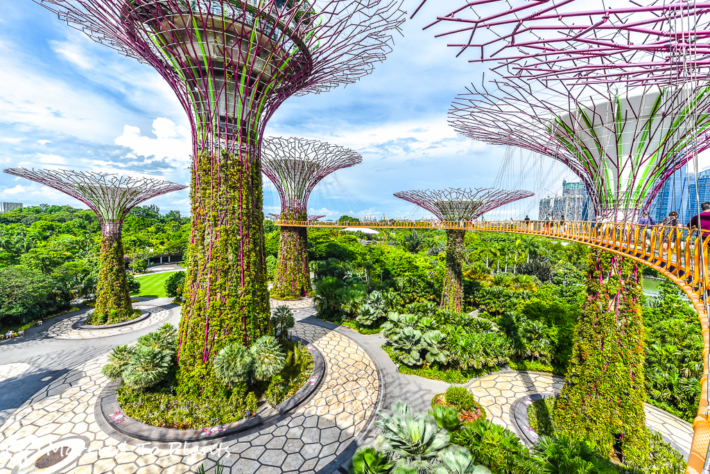 The Amazing World : Gardens by the Bay (Largest Nature Park), Marina