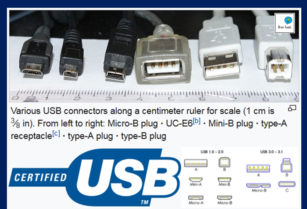 Brain Foods Nakhonsawan USB fun facts