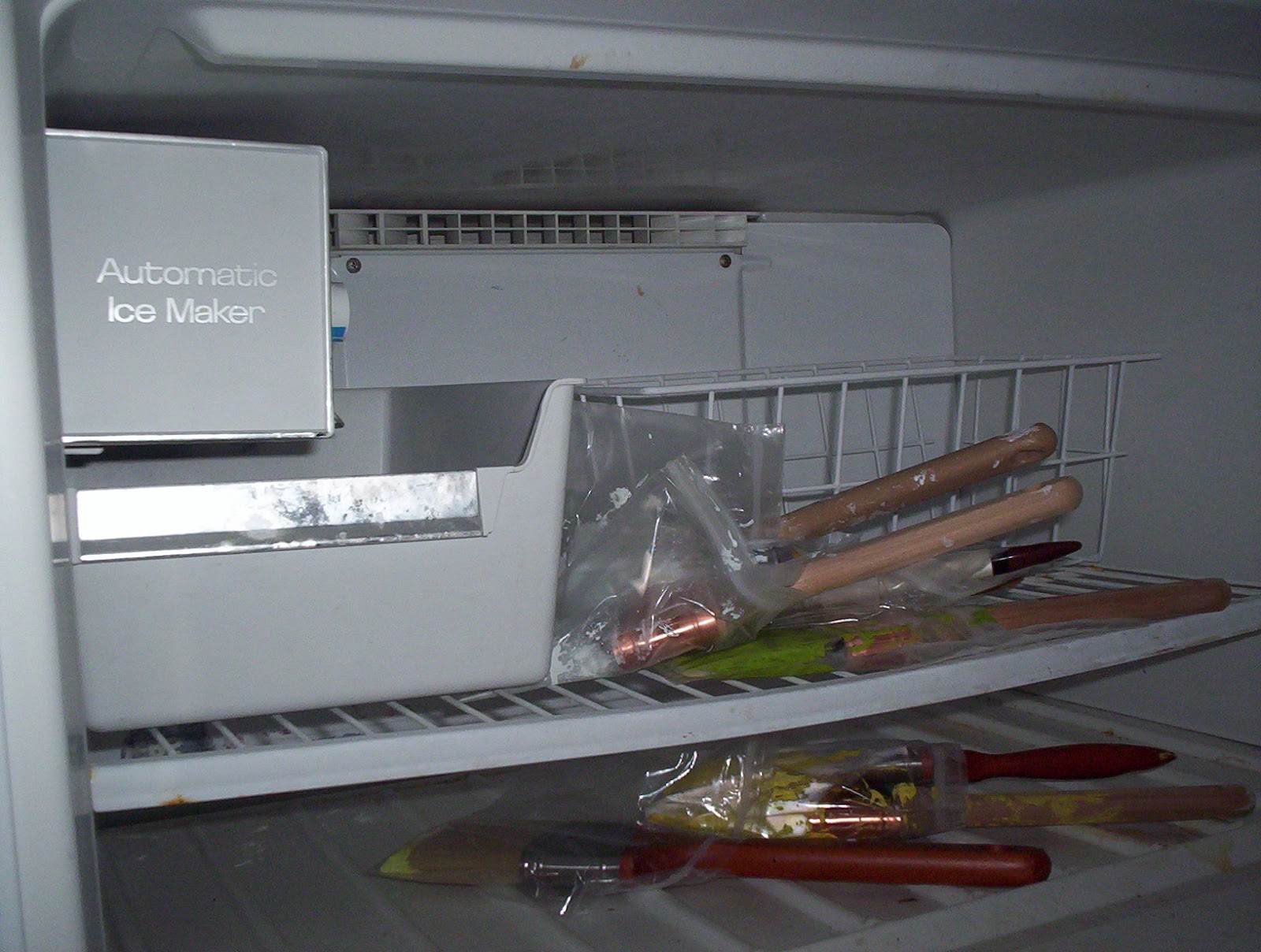 Paint Tip Freeze Brushes Between Coats