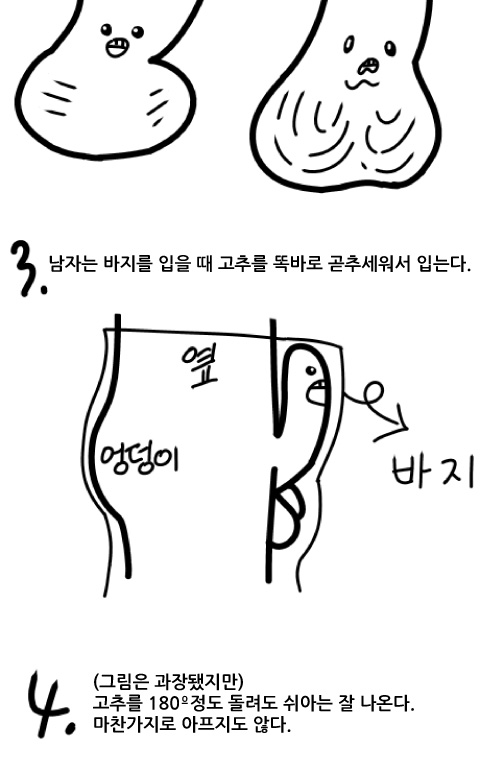 여자는 잘 모르는 남자 꼬추의 비밀.Jpg - 스퀘어 카테고리