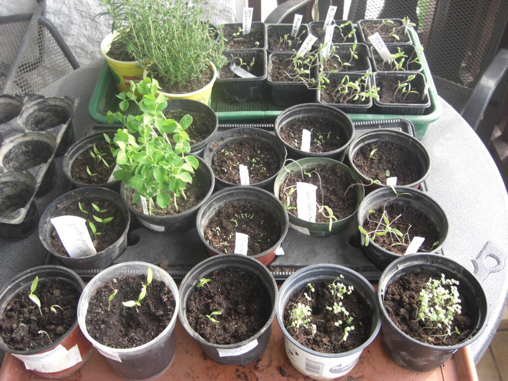 Die Ms sind da: März 2012