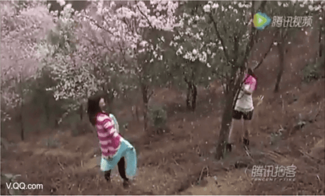 (Video) Perlakuan tidak bermoral di bawah pokok ceri - Pilihan Anda