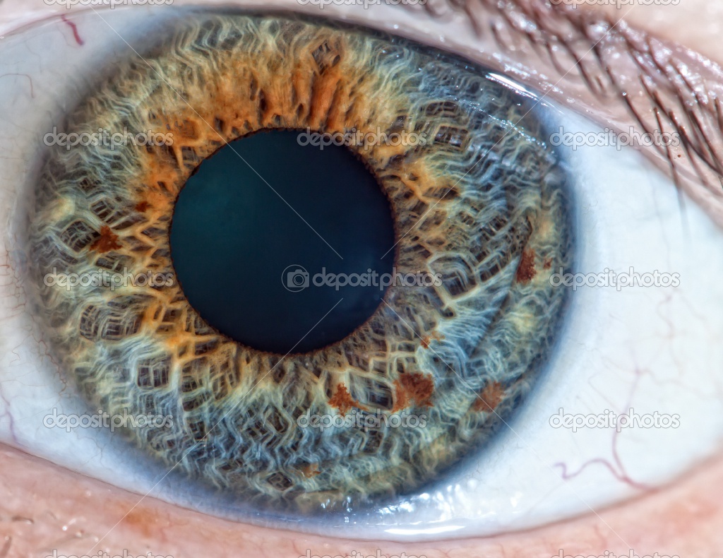 Cats Eyes Road >> Fenryss: Extreme Close Ups of the Human Eye Cats Eyes Road >> Fenryss: Extreme Close Ups of the Human Eye