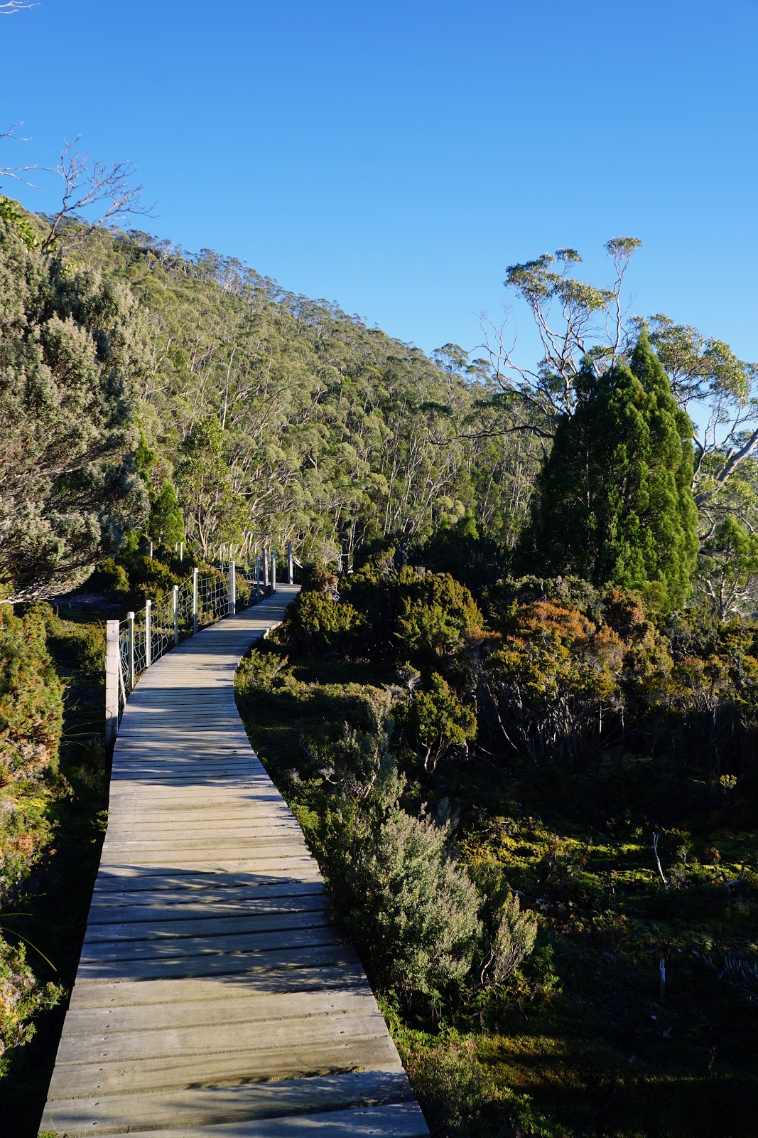 Tarn Shelf Circuit (Mount Field National Park) The Long Way's Better