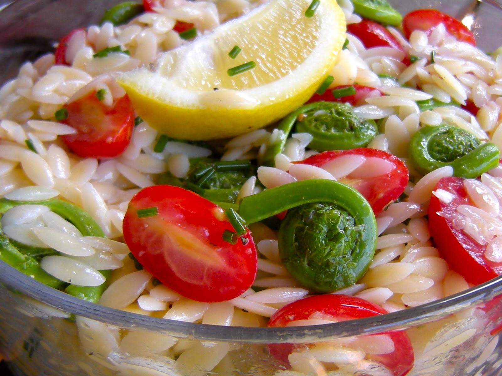 Lettuce Turnip the Beet Wildcrafting Ramps & Fiddleheads