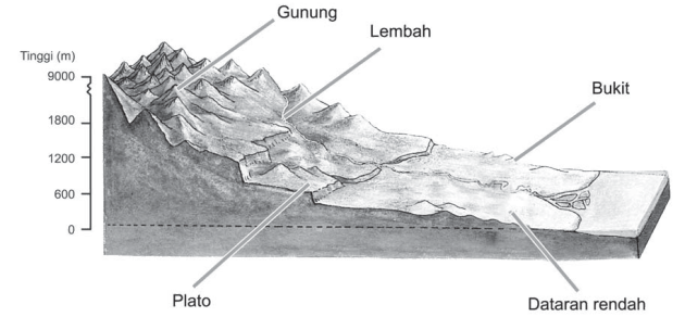 Keragaman Bentuk Muka Bumi - Artikel & Materi
