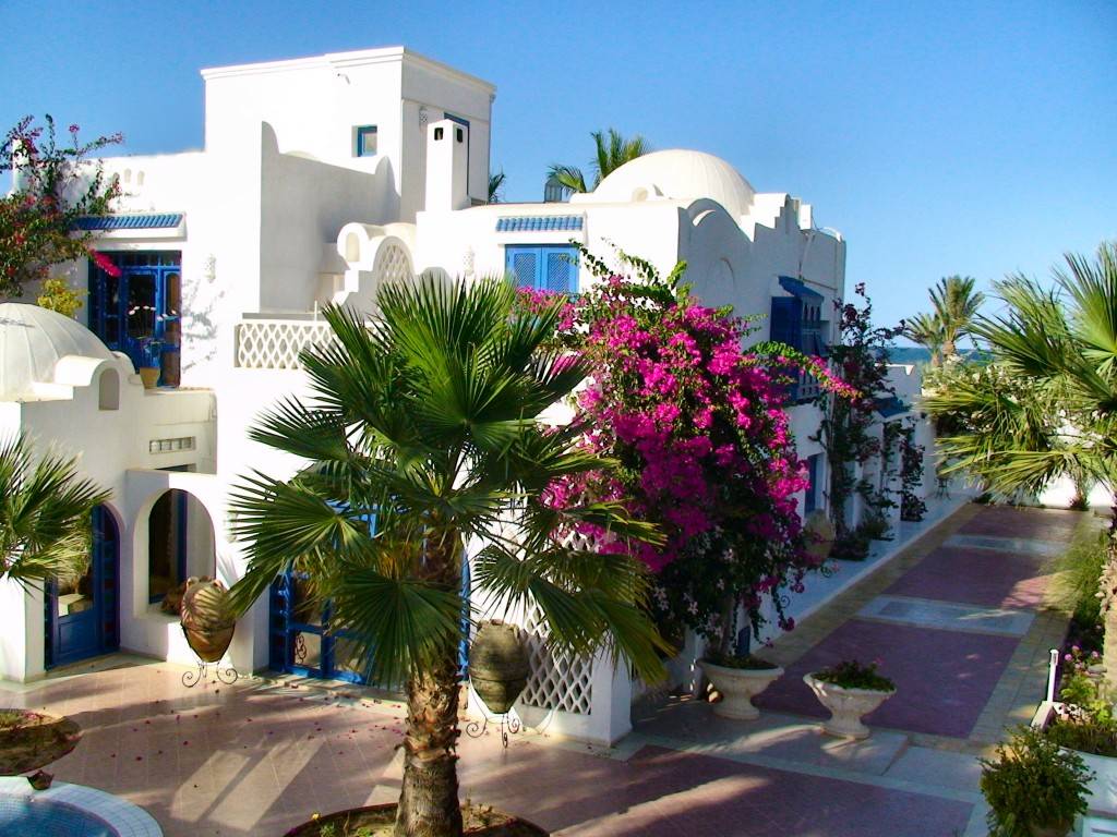 Зарзис тунис Зарзис тунис