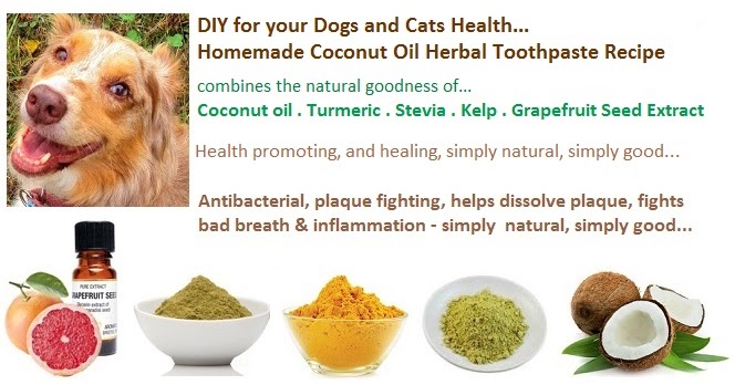 Natural Homemade Toothpaste For Dogs Natural Homemade Toothpaste For Dogs