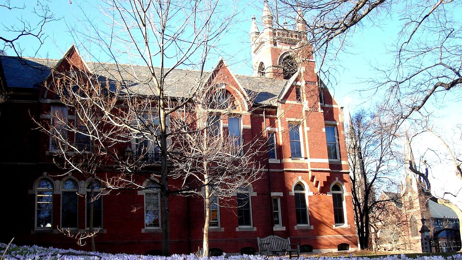 Colleges Known For Psychology College Choices