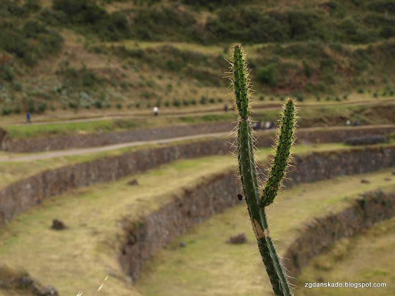 Ruiny w Pisac