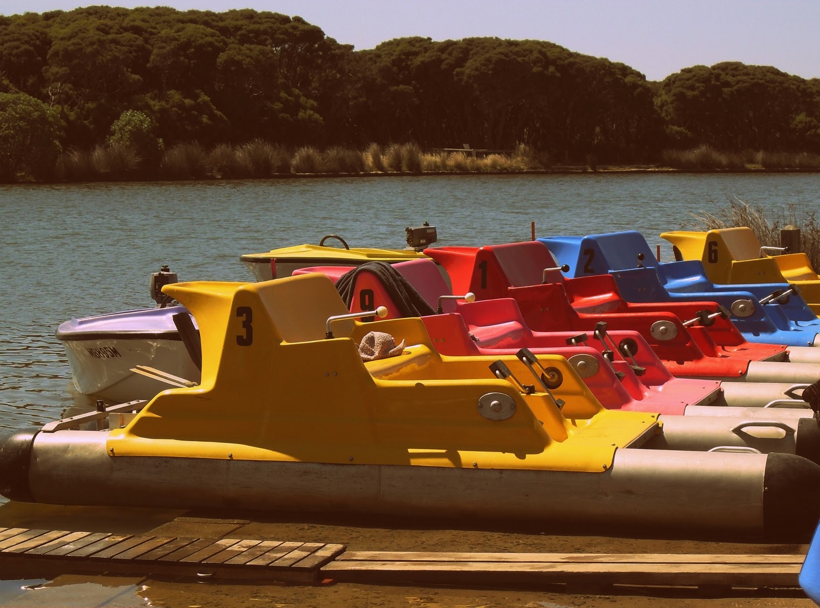 Hung Up On Retro Anglesea Paddle Boats