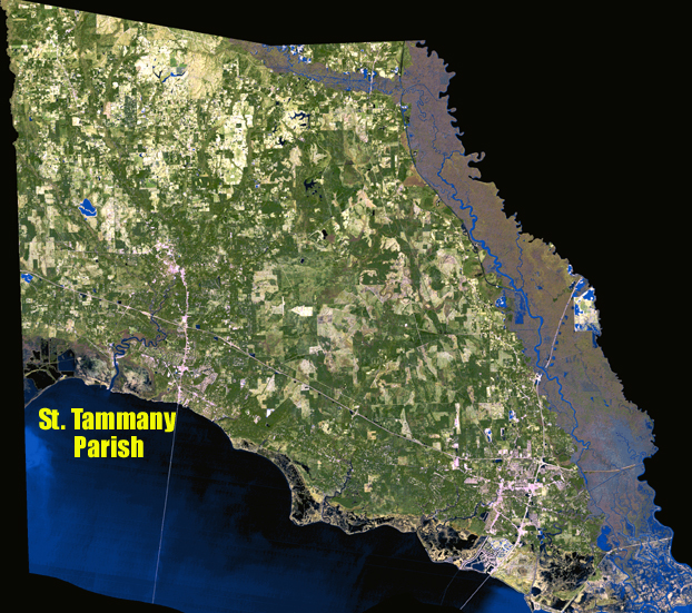Tammany Family Real Estate Property Transfers March 27 April 3