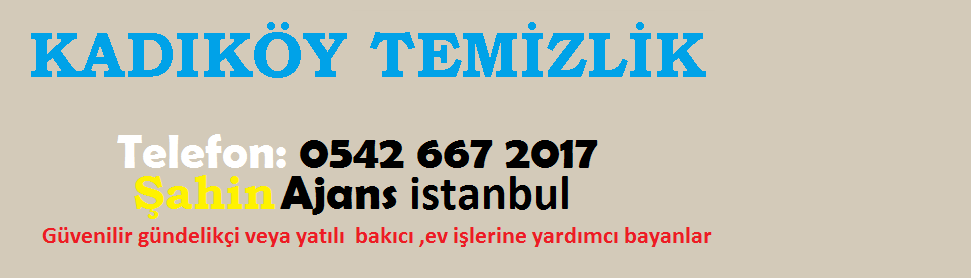 TEMİZLİK FİRMASI KADIKÖY ANADOLU YAKAS DIŞ CEPHE CAM TEMİZLİK şirketleri bina cam temizliği yapanlar