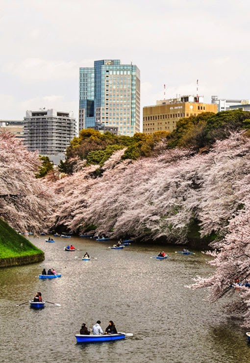 Chidorigafuchi japan