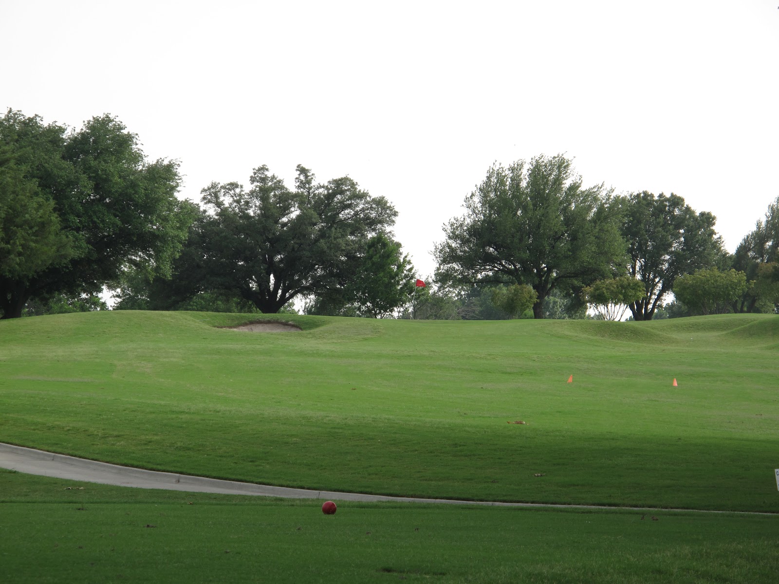 Divots Throughout Dallas Cedar Crest Golf Course