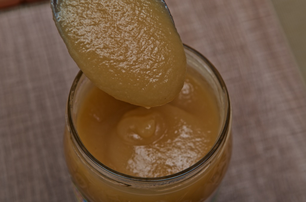 Compote Pomme Vanille (750g) par Andros