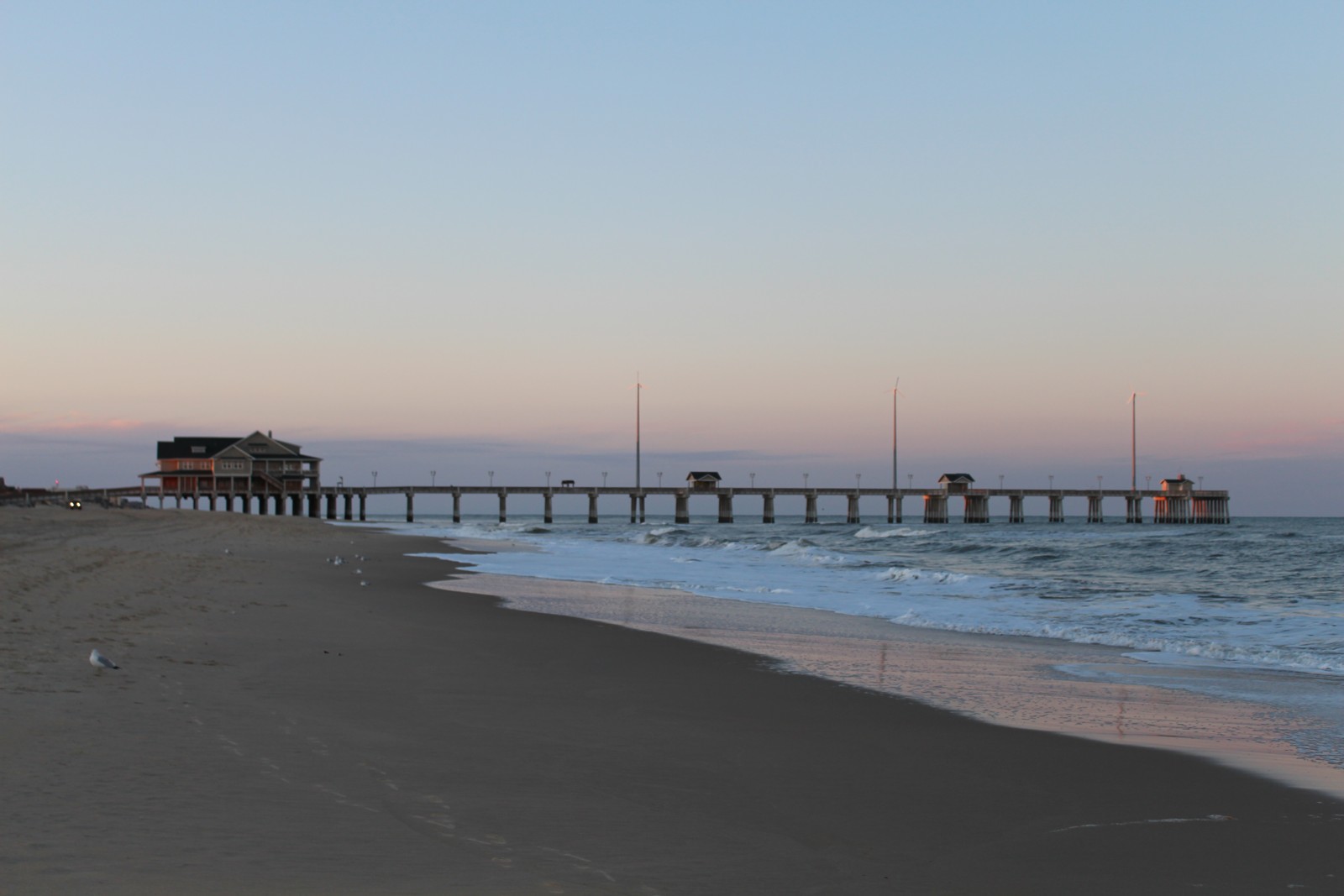 Appalachian Journal VSO Field Trip at Nags Head, North Carolina