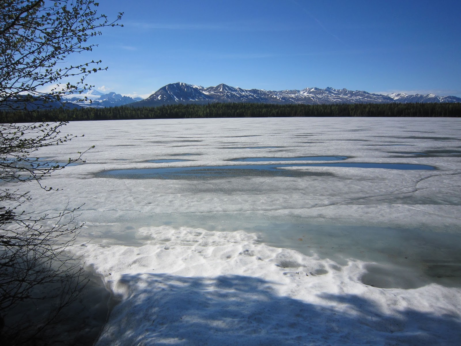 Amy Brown Science Byer's Lake Our 7 Mile Hike in Alaska