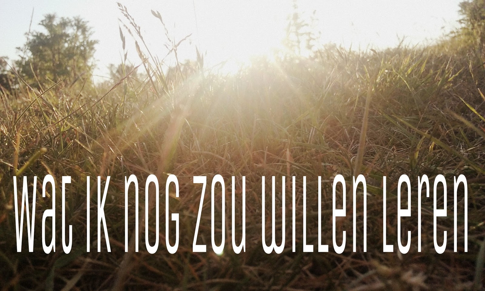 Vojago: Dingen die ik nog zou willen leren.