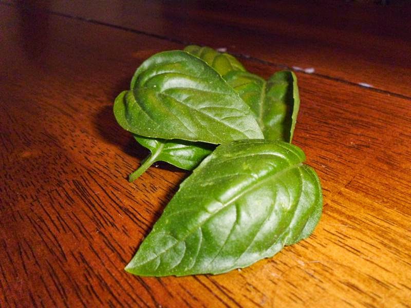 Basil leaves from cuttings
