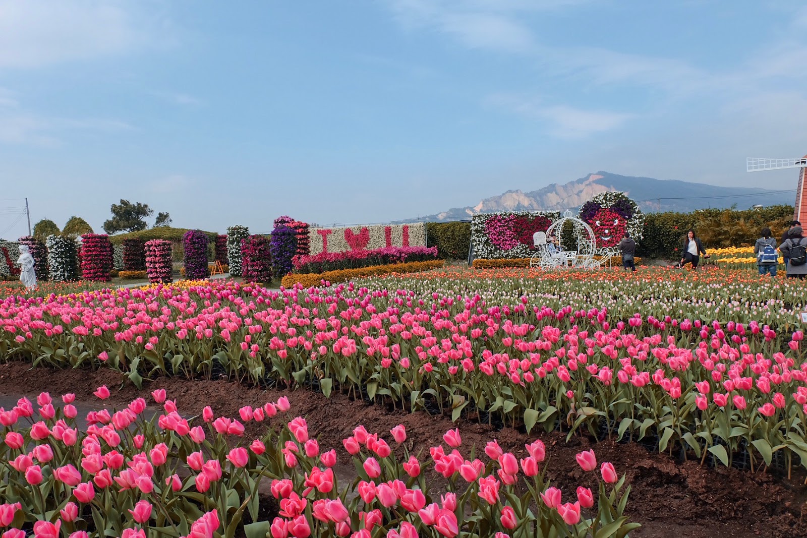 Chungshe Flower Garden The Most Splendid Flower Fields in Taiwan The