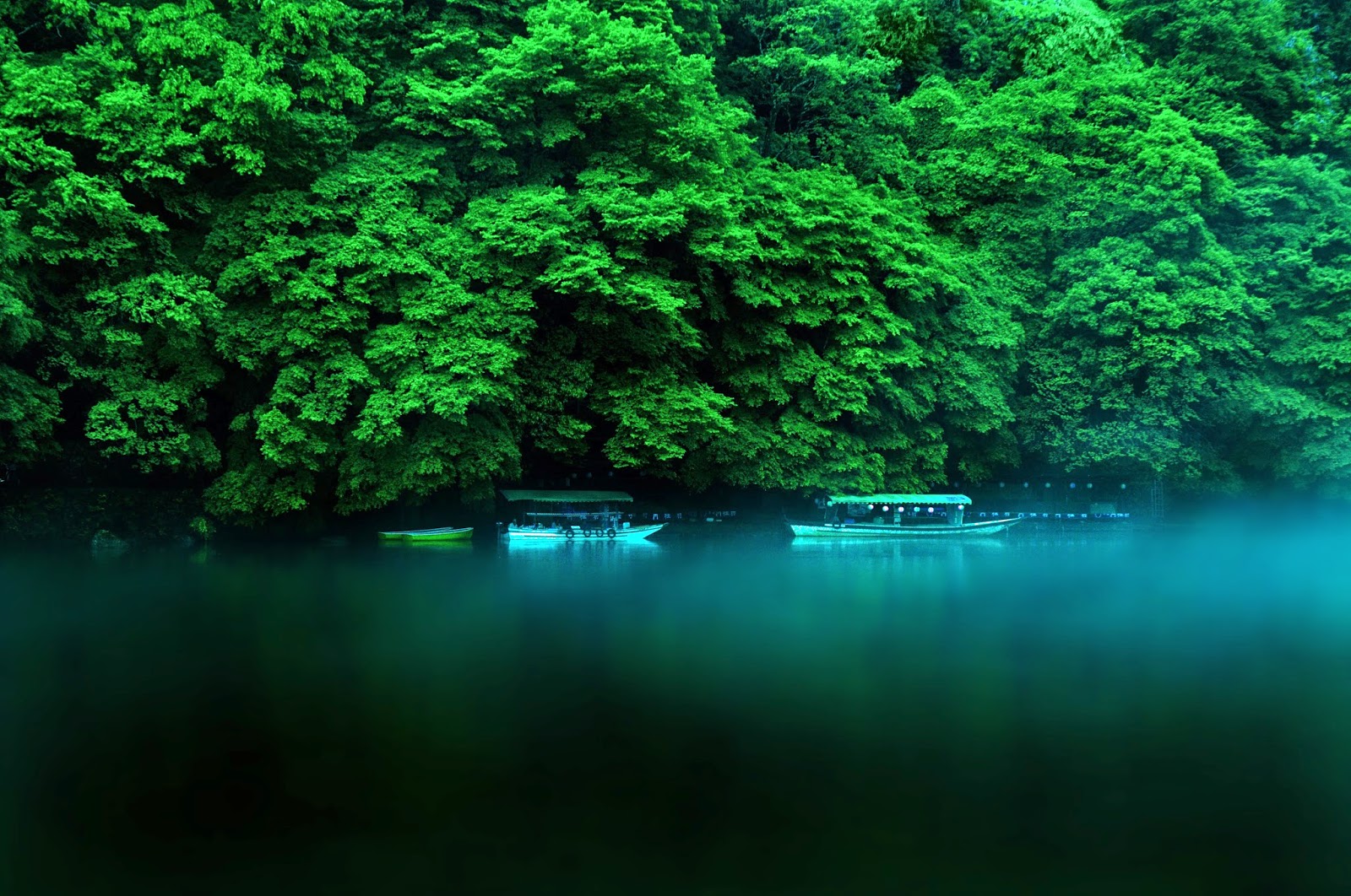 Tree in River Wallpaper | Wallpaper HD | Desain | Exterior | Interior