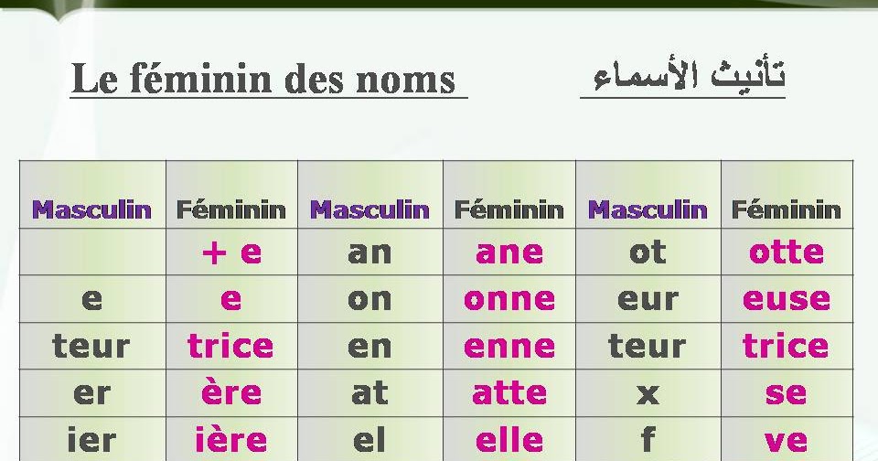 ملخص الدرس الدرس الرابع : تأن--يث الأسماء Le féminin des noms.