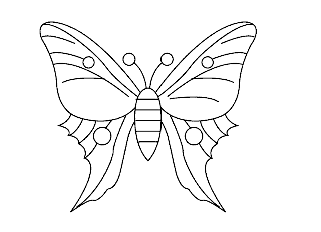 Butterfly Cartoone Colour Drawing HD Wallpaper