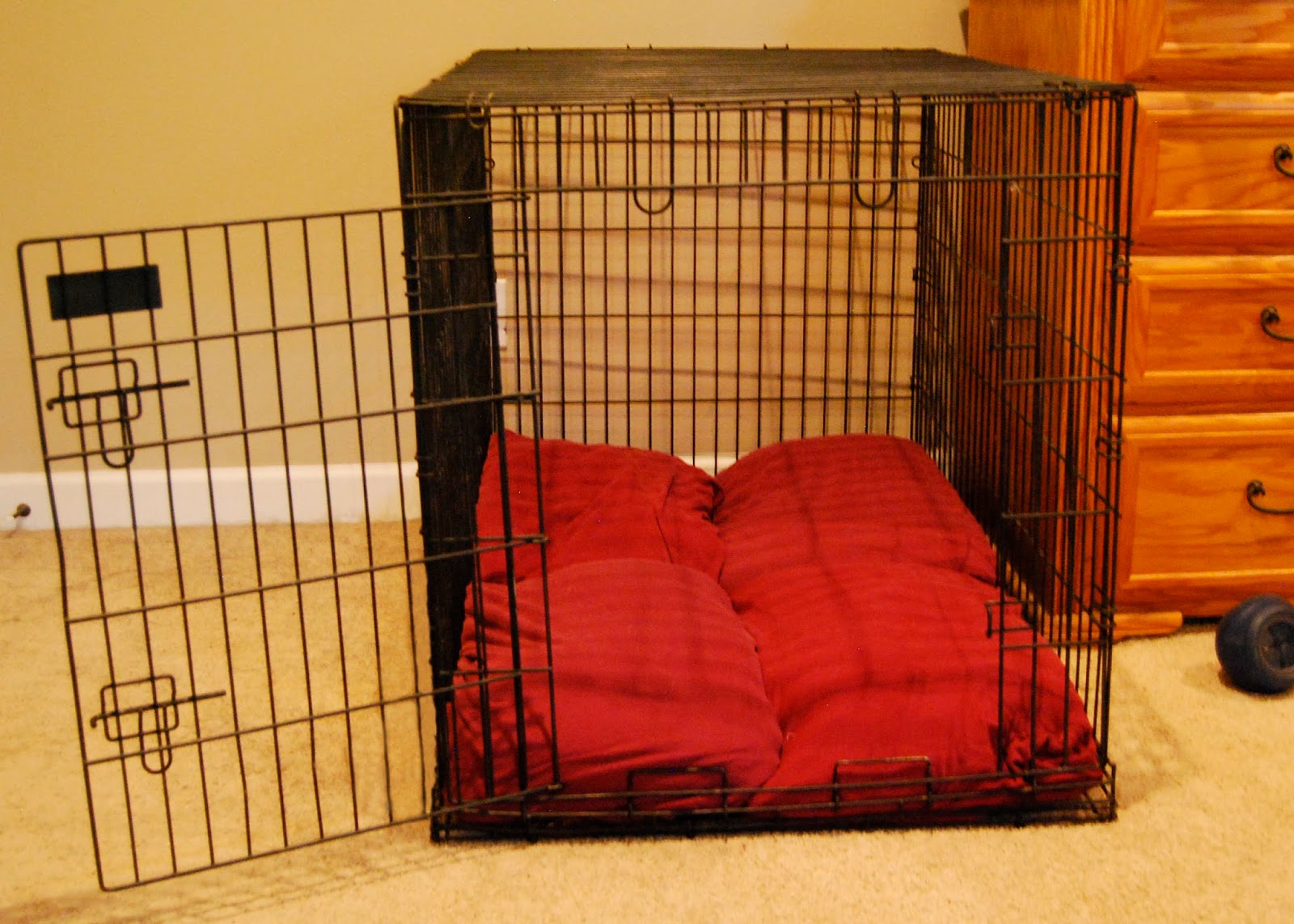Erratic Project Junkie Easy Custom Dog Bed