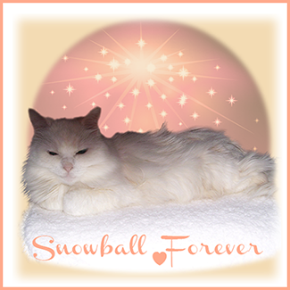 Rest In Peace Snowball