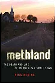 Essay on methland 06 image