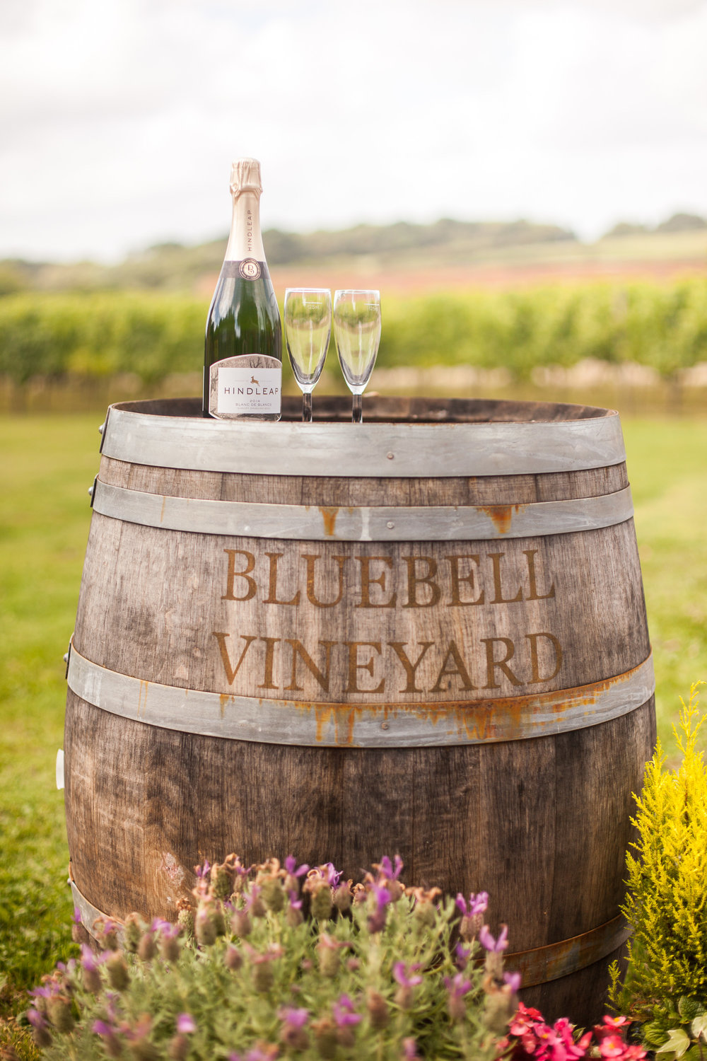 Bluebell Vineyard tour and tasting Hindleap English sparkling wine