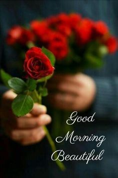 good morning romantic rose