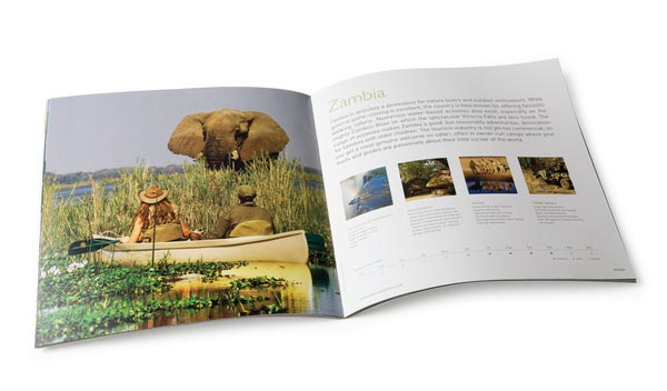 Travel Brochure Design