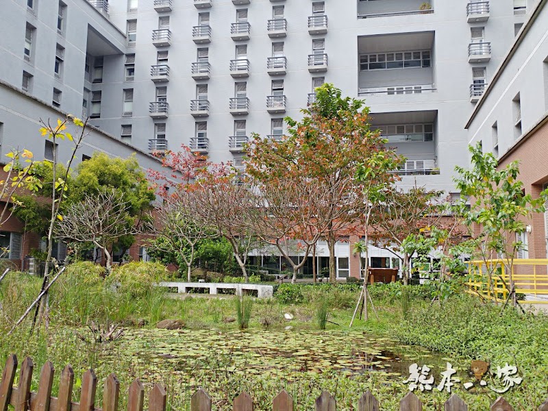 心湖櫻緣|三峽台北大學「心湖櫻花步道」-杜鵑、吉野櫻、木棉花齊綻放
