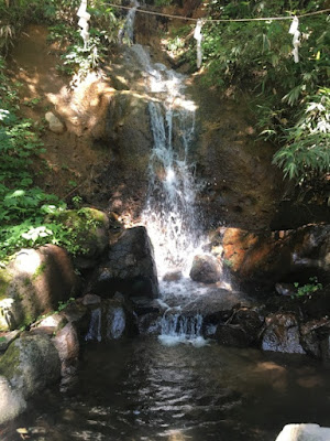 戸隠神社中社の滝