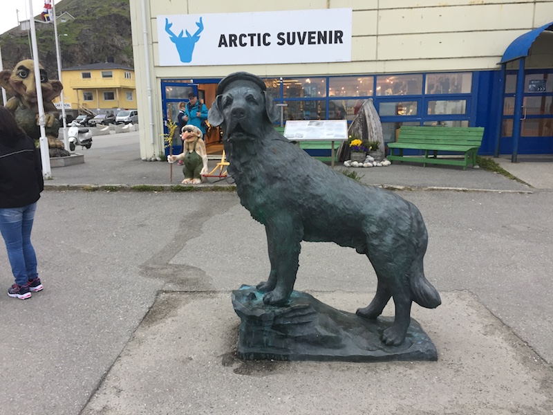 Herr Knuddel Highflights On Tour Honningsvag Nordkap