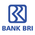 BRI bank logo download coreldraw
