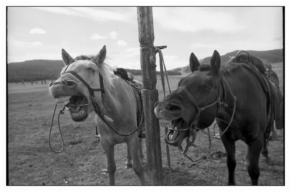 OLTRE IL MURO: ARTE e FOTOGRAFIA: PRZEMEK STRZELECKI | PHOTOGRAPHER