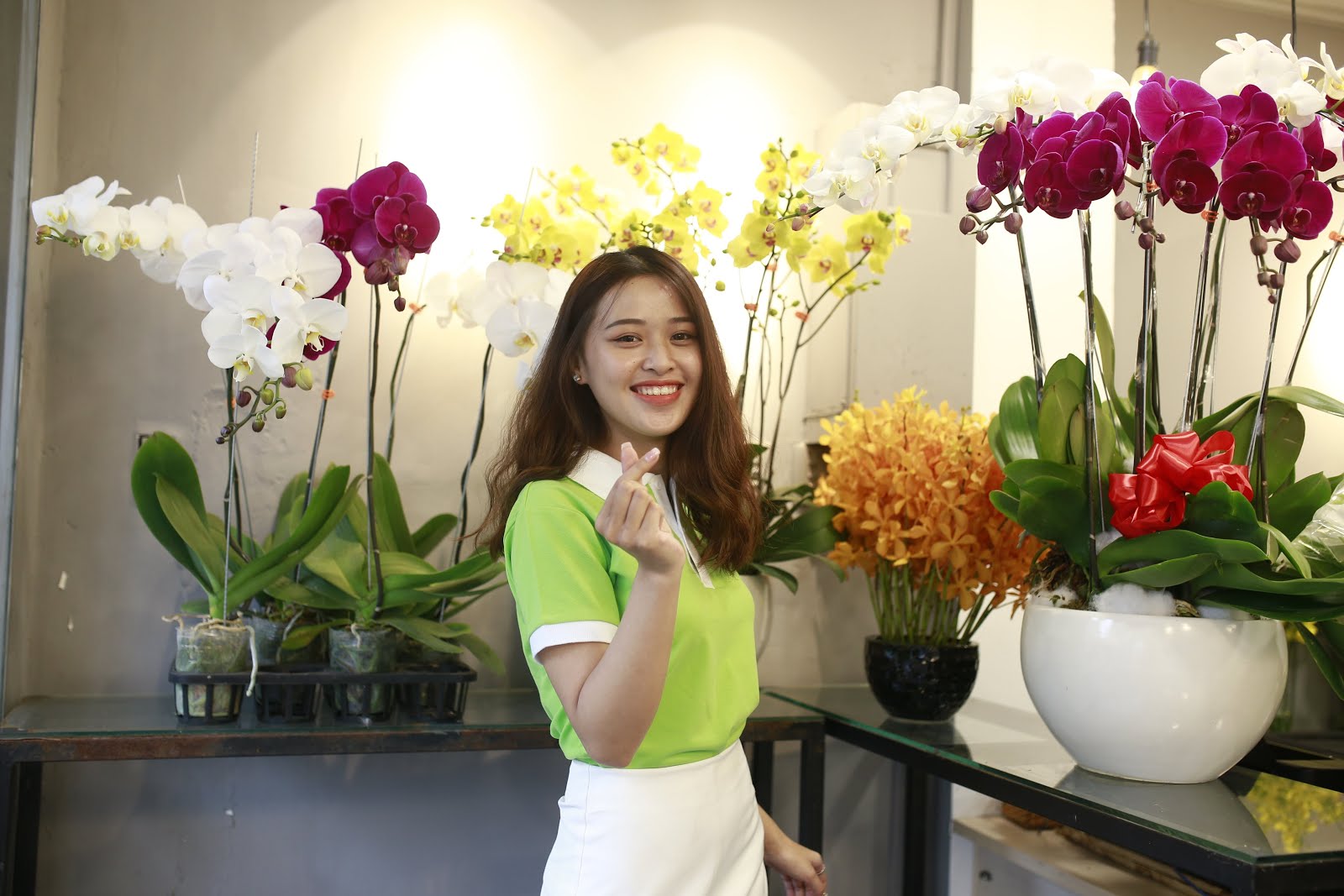 Hoatuoi360.vn là địa chỉ cung cấp đầy đủ các loại hoa phong lan