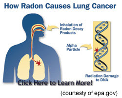 How Radon causes Lung Cancer