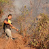 Brigadistas combatem focos de incêndio na Chapada Diamantina