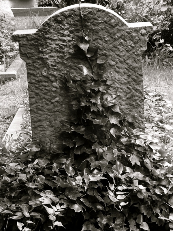 Www Trauerverse Blogspot De 2017