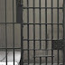 Αποσυμφόρηση στις φυλακές ...Παρατείνεται ο νόμος Παρασκευόπουλου 