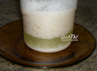 Kefir Alimento Probiotico