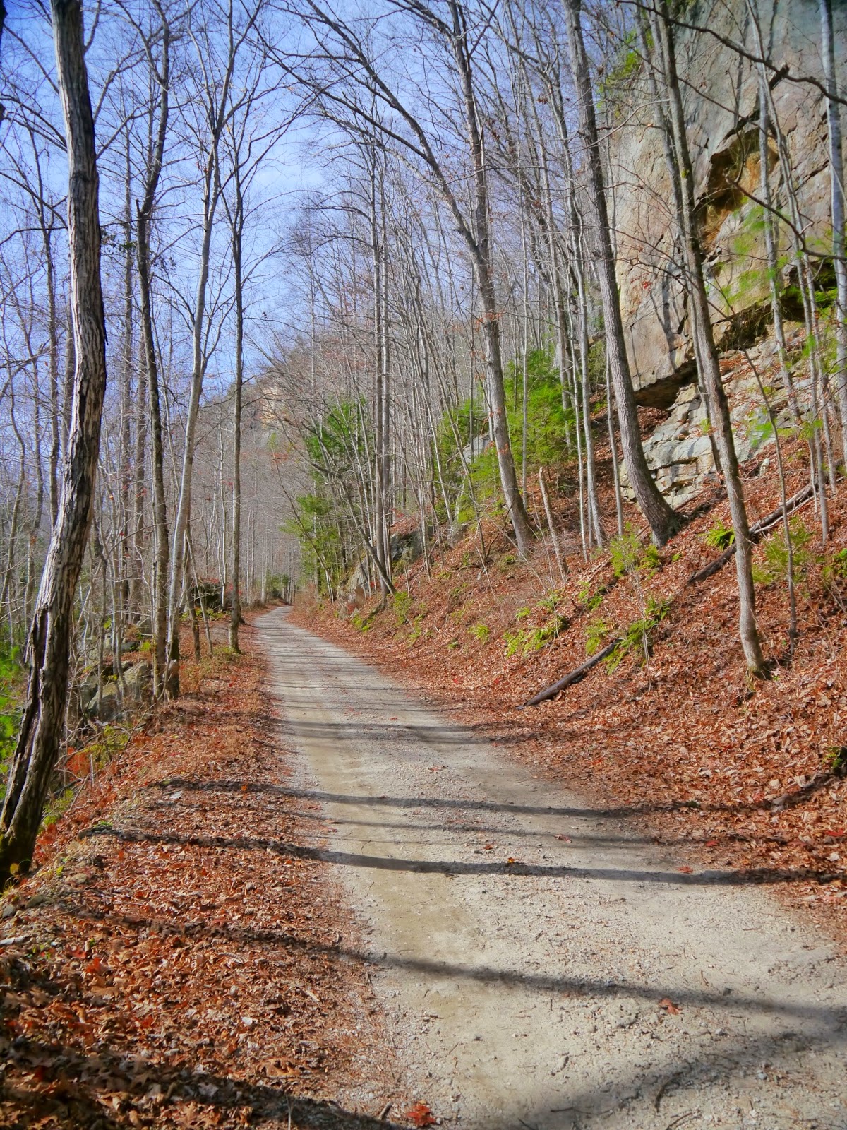 American Travel Journal O & W Road Big South Fork National River and