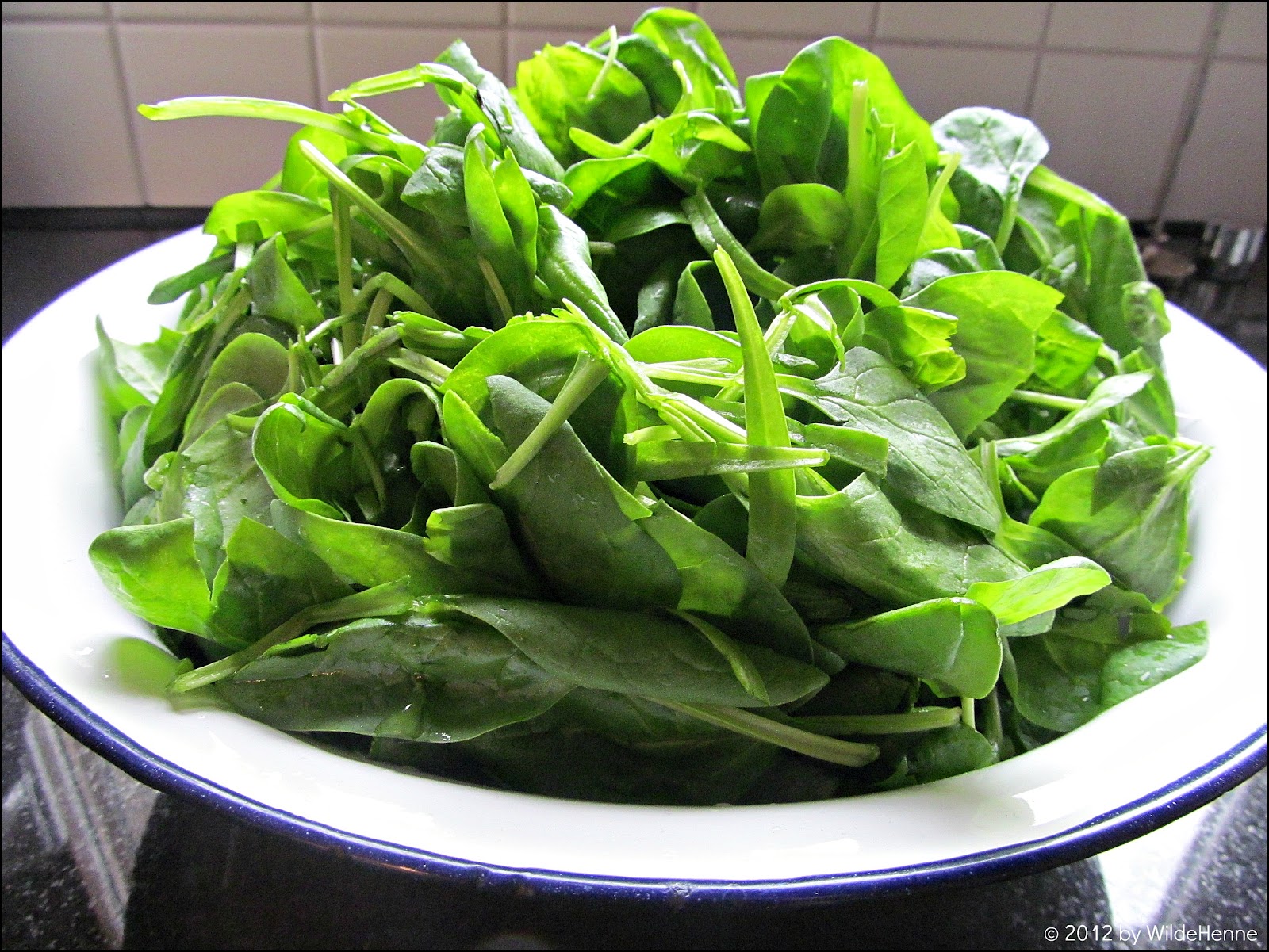 Morchel-Spinat-Lasagne