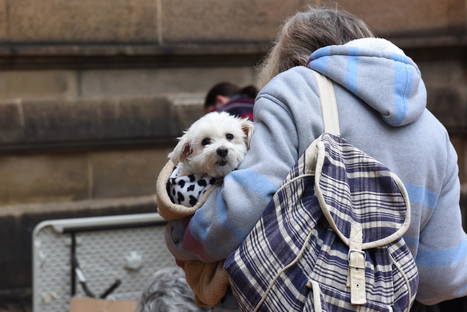Small Animal Talk Charity to help pets of the homeless launches nationally