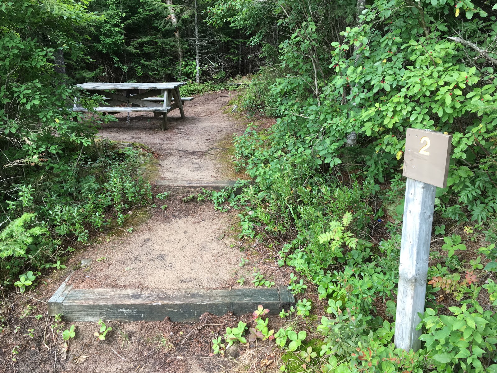 The Campsites MontTremblant National Park, QC, Lac Escalier, canoe