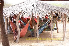 Hospitalidad  Wayuu